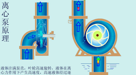 給（gei）水泵、給（ji）水泵別再傻傻分不清楚（內(nèi)含動(dòng)畫(huà)）